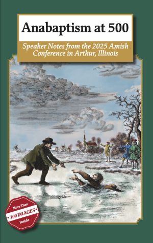 Anabaptism At 500 E Book